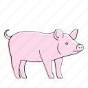 pig, animal, farm, hog, mammal