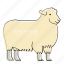 sheep, animal, farm, mammal, wool 