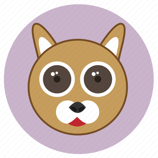 Animals, big eyes, cat, cute, face, pets icon - Download on Iconfinder