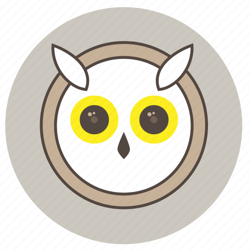 Animals, big eyes, cute, face, night, owl icon - Download on Iconfinder