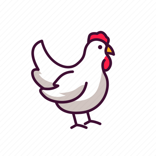 Animals, chicken, farming, wildlife, zoo icon - Download on Iconfinder