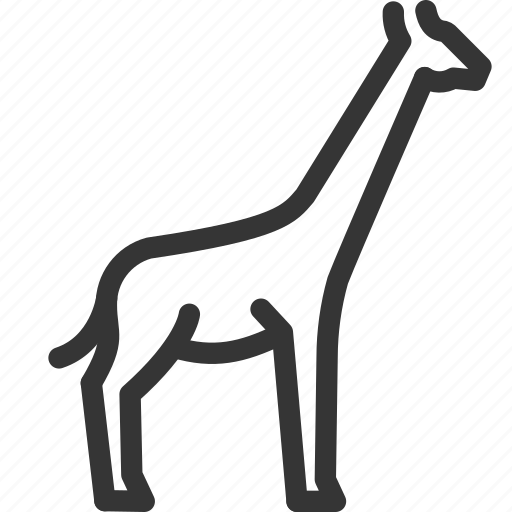 Giraffe, monkey, animal, forest, rights, zoo, nature icon - Download on Iconfinder