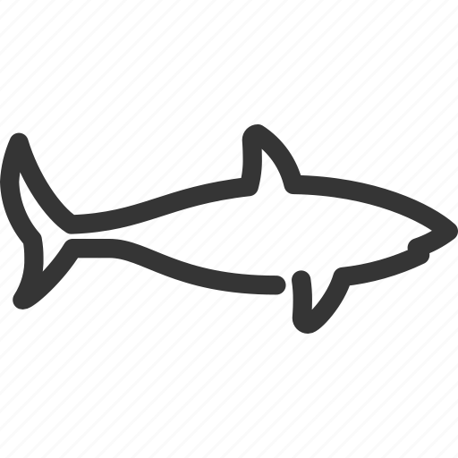 Shark, fish, animal, forest, rights, zoo, nature icon - Download on Iconfinder