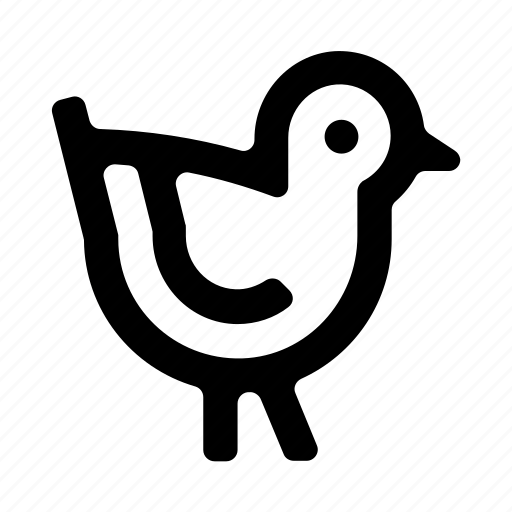 Bird, sparrow, chicken, feather icon - Download on Iconfinder