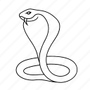 cobra, snake, poison