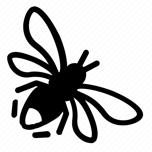Bee, bug, honey icon - Download on Iconfinder on Iconfinder