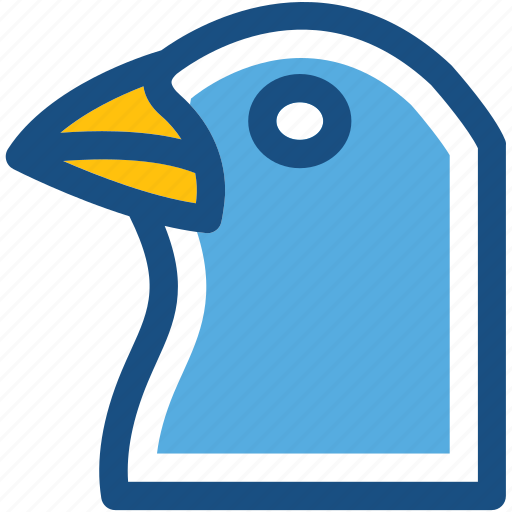 Bird, columbidae, dove, pigeon, pigeon face icon - Download on Iconfinder