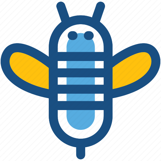 Apis mellifera, bee, bee hive, honey bee, insect icon - Download on Iconfinder