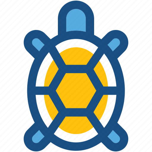 Amphibian, animal, reptile, tortoise, turtle icon - Download on Iconfinder