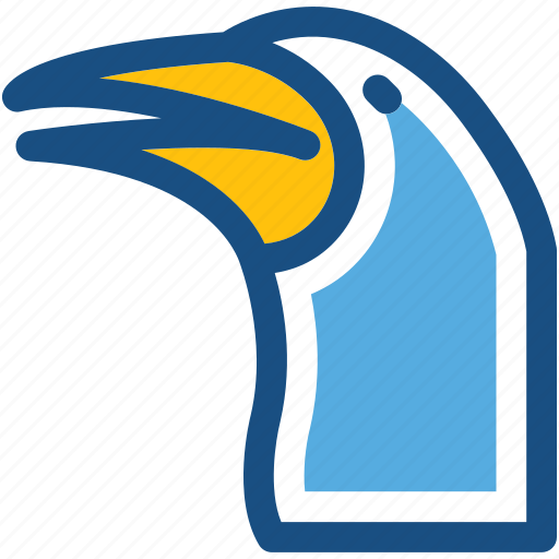 Bird, hummingbird, ramphastos, toucan, zoology icon - Download on Iconfinder