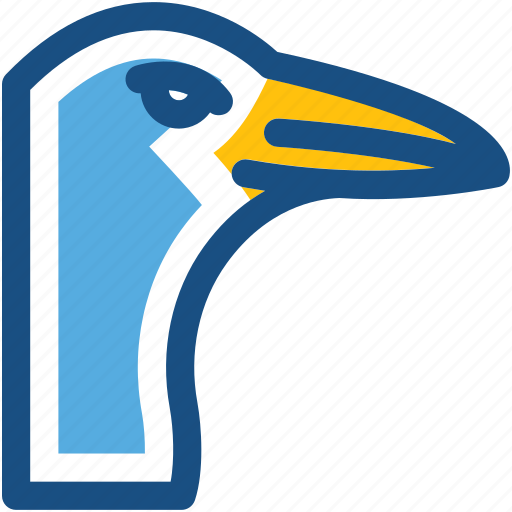 Bird, gulls, seabirds, seagull, stork icon - Download on Iconfinder