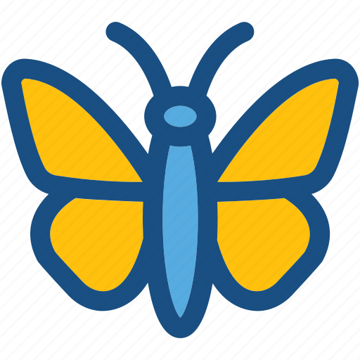 Butterfly, glider butterfly, insect, lepidoptera, moth icon - Download on Iconfinder
