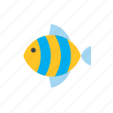 animal, fish, striped