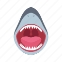 shark, mouth, flat, icon, sharp, teeth, open, animal, wildlife