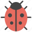 animals, bug, development, error, insect, ladybug 