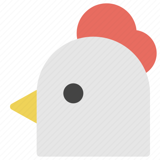 Animals, chicken, nature, poultry, turkey icon - Download on Iconfinder