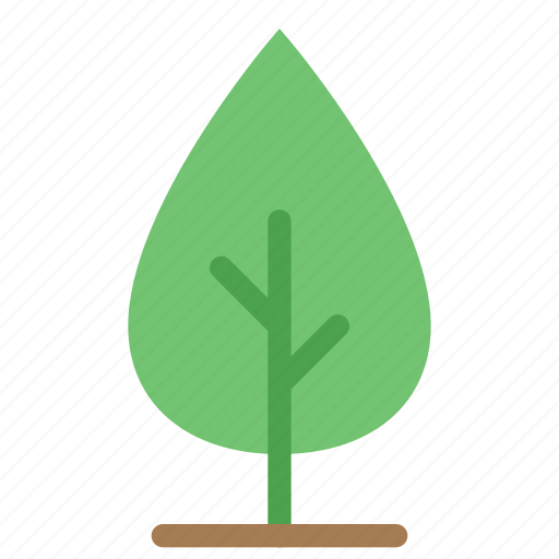 Ecology, flora, forest, green, nature, plant, tree icon - Download on Iconfinder