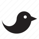 animal, bird, tweet, twitter