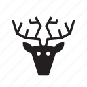 animal, caribou, deer, hunting trophy, pet, reindeer