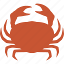 cancer, crab, crustacean, decapod, decapoda, seafood, shell