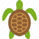 reptile, sea, seaturtle, testudines, tortoise, turtle