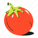 solanum lycopersicum, tomato, fruit, organic diet, food