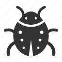 bug, fixing, repair, beetle, insect