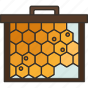 brood, honey, beehive, cultivation, apiary