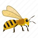 bee, cartoon, fly, honey, insect, nature, yellow