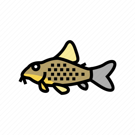 Cory, catfish, aquarium, fish, tropical, animal icon - Download on Iconfinder