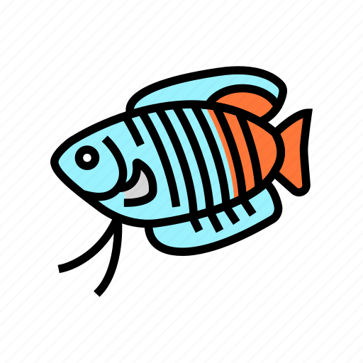 Gourami, fish, aquarium, tropical, animal, angelfish icon - Download on Iconfinder