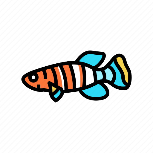 Killifish, aquarium, fish, tropical, animal, angelfish icon - Download on Iconfinder