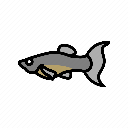 Molly, fish, aquarium, tropical, animal, angelfish icon - Download on Iconfinder