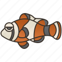 Clown Fish Icons 13 793 Free Premium Icons On Iconfinder