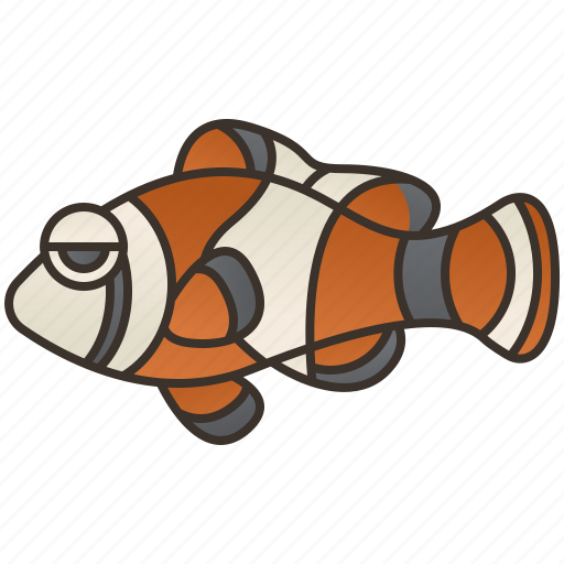 Anemone, clown, colorful, fish, reef icon - Download on Iconfinder