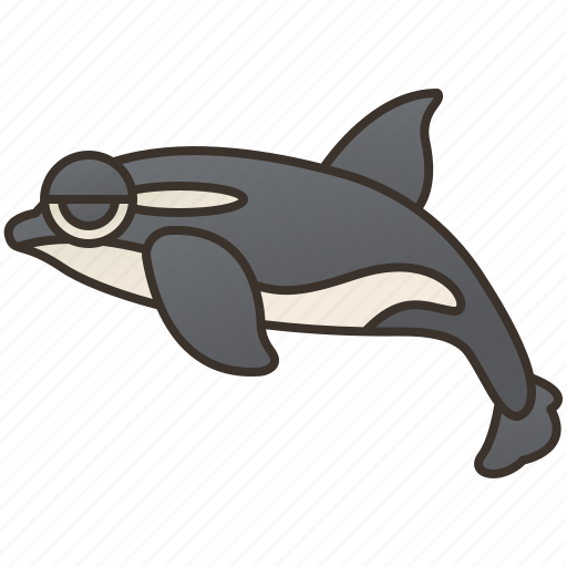 Killer, mammal, ocean, orca, whale icon - Download on Iconfinder