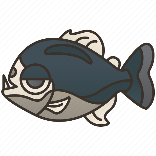 Carnivore, fish, freshwater, piranha, teeth icon - Download on Iconfinder