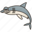 carcharodon, dangerous, ocean, predator, shark 