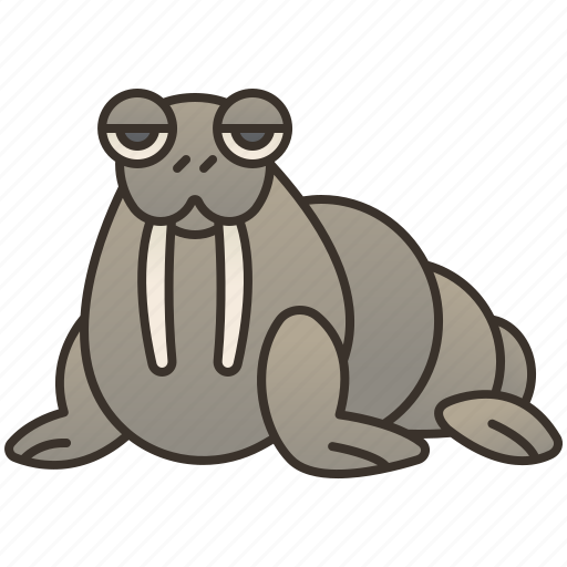 Arctic, flipper, mammal, ocean, walrus icon - Download on Iconfinder