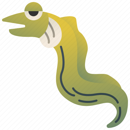 Eel, green, moray, reef, sea icon - Download on Iconfinder
