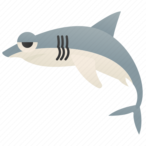 Carcharodon, dangerous, ocean, predator, shark icon - Download on Iconfinder