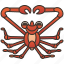 crab, crustacean, giant, marine, spider 