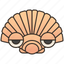 clam, scallop, sea, seafood, shell