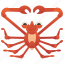 crab, crustacean, giant, marine, spider 