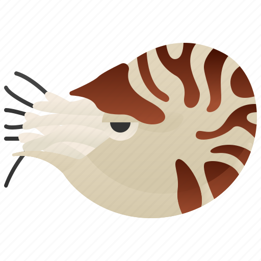 Cephalopod, marine, mollusk, nautilus, wildlife icon - Download on Iconfinder