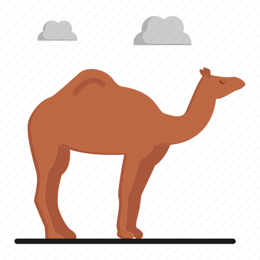 Hump, camelus, camel, desert animal, dromedary icon - Download on Iconfinder