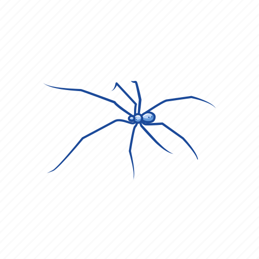 Animal, arachnid, carpenter spider, cellar spider, daddy long legs, invertebrate icon - Download on Iconfinder