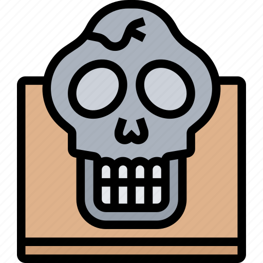 Skull, human, sapiens, fossil, paleontology icon - Download on Iconfinder
