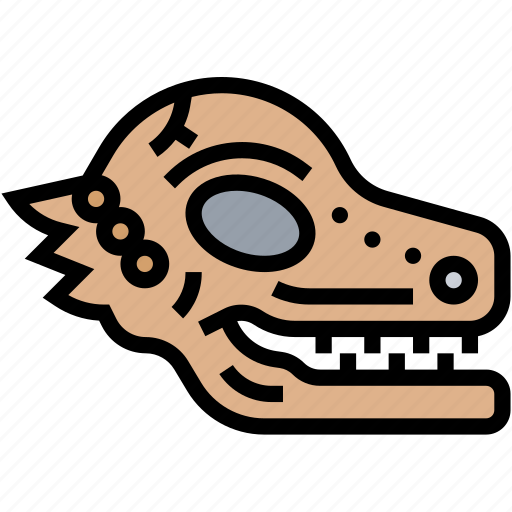 Skull, dinosaur, fossil, jurassic, extinct icon - Download on Iconfinder