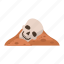 skull, sand, artifact, human head, old 